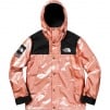 Thumbnail for Supreme The North Face Metallic Mountain Parka