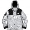 Thumbnail for Supreme The North Face Metallic Mountain Parka