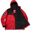 Thumbnail for Supreme The North Face Leather Mountain Parka