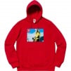 Thumbnail for Supreme The North Face Photo Hooded Sweatshirt