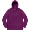 Thumbnail for Polartec Hooded Sweatshirt