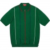 Thumbnail for Pinstripe Half Zip Polo