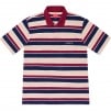 Thumbnail for Classic Logo Stripe Polo