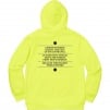 Thumbnail for Know Thyself Hooded Sweatshirt