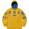 Thumbnail for Spread Logo Hooded Sweatshirt