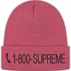 Thumbnail for 1-800 Beanie