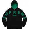 Thumbnail for Spread Logo Hooded Sweatshirt