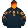 Thumbnail for Spread Logo Hooded Sweatshirt