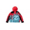 Thumbnail for Supreme The North Face Statue of Liberty Mountain Jacket