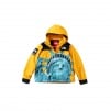 Thumbnail for Supreme The North Face Statue of Liberty Mountain Jacket