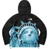 Thumbnail for Supreme The North Face Statue of Liberty Mountain Jacket