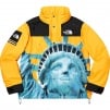 Thumbnail for Supreme The North Face Statue of Liberty Mountain Jacket