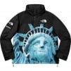 Thumbnail for Supreme The North Face Statue of Liberty Mountain Jacket