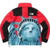 Thumbnail for Supreme The North Face Statue of Liberty Mountain Jacket