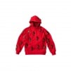 Thumbnail for Supreme dead prez RBG Embroidered Hooded Sweatshirt