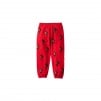 Thumbnail for Supreme dead prez RBG Embroidered Sweatpant