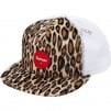 Thumbnail for Leopard Mesh Back 5-Panel