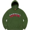 Supreme Icy Arc Hooded Sweatshirt (FW20) - Green