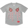 Thumbnail for Tiger Embroidered Baseball Jersey