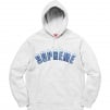 Supreme Icy Arc Hooded Sweatshirt (FW20) - Ash Grey