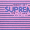 Supreme Micro Stripe L S Top (FW20) - Pink