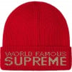 Thumbnail for World Famous Beanie