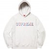 Thumbnail for Drop Shadow Hooded Sweatshirt