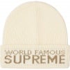 Thumbnail for World Famous Beanie