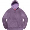 Thumbnail for Spray Hooded Sweatshirt