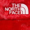 Thumbnail for Supreme The North Face Faux Fur Nuptse Jacket