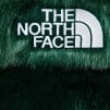 Thumbnail for Supreme The North Face Faux Fur Nuptse Jacket