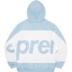 Thumbnail for Big Logo Hooded Sweatshirt