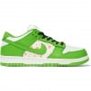 Supreme Supreme Nike SB Dunk Low (SS21) - Green