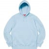 Thumbnail for Big Logo Hooded Sweatshirt