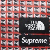 Thumbnail for Supreme The North Face Studded Nuptse Pant