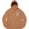 Thumbnail for Swarovski S Logo Hooded Sweatshirt