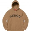 Supreme FTP Arc Hooded Sweatshirt (SS21) - Brown