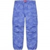 Thumbnail for Floral Tapestry Cargo Pant