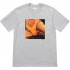 Thumbnail for Supreme Butthole SurfersRembrandt Pussyhorse Tee