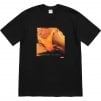 Thumbnail for Supreme Butthole SurfersRembrandt Pussyhorse Tee