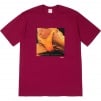 Thumbnail for Supreme Butthole SurfersRembrandt Pussyhorse Tee