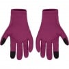 Thumbnail for WINDSTOPPER Gloves