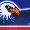 Thumbnail for Eagle Hockey Jersey