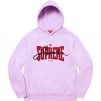 Thumbnail for Embroidered Chenille Hooded Sweatshirt