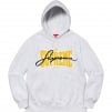 Thumbnail for Embroidered Chenille Hooded Sweatshirt