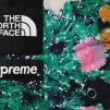 Thumbnail for Supreme The North Face Trekking Packable Belted Short