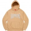 Thumbnail for Rhinestone Shadow Hooded Sweatshirt