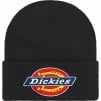 Thumbnail for Supreme Dickies Beanie