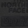 Thumbnail for Supreme The North Face Pigment Printed Hooded Sweatshirt