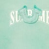 Supreme Supreme True Religion Zip Up Hooded Sweatshirt (FW22) - Aqua